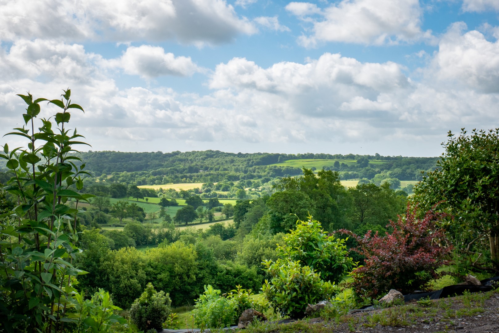 The Blackdown Hills Half Moon Devon